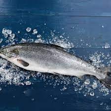 Salmão Inteiro - 14/16 (kg)