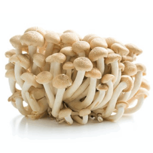 shimeji Shimeji 1 kg