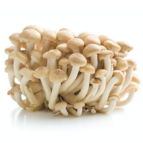 shimeji Shimeji 1 kg