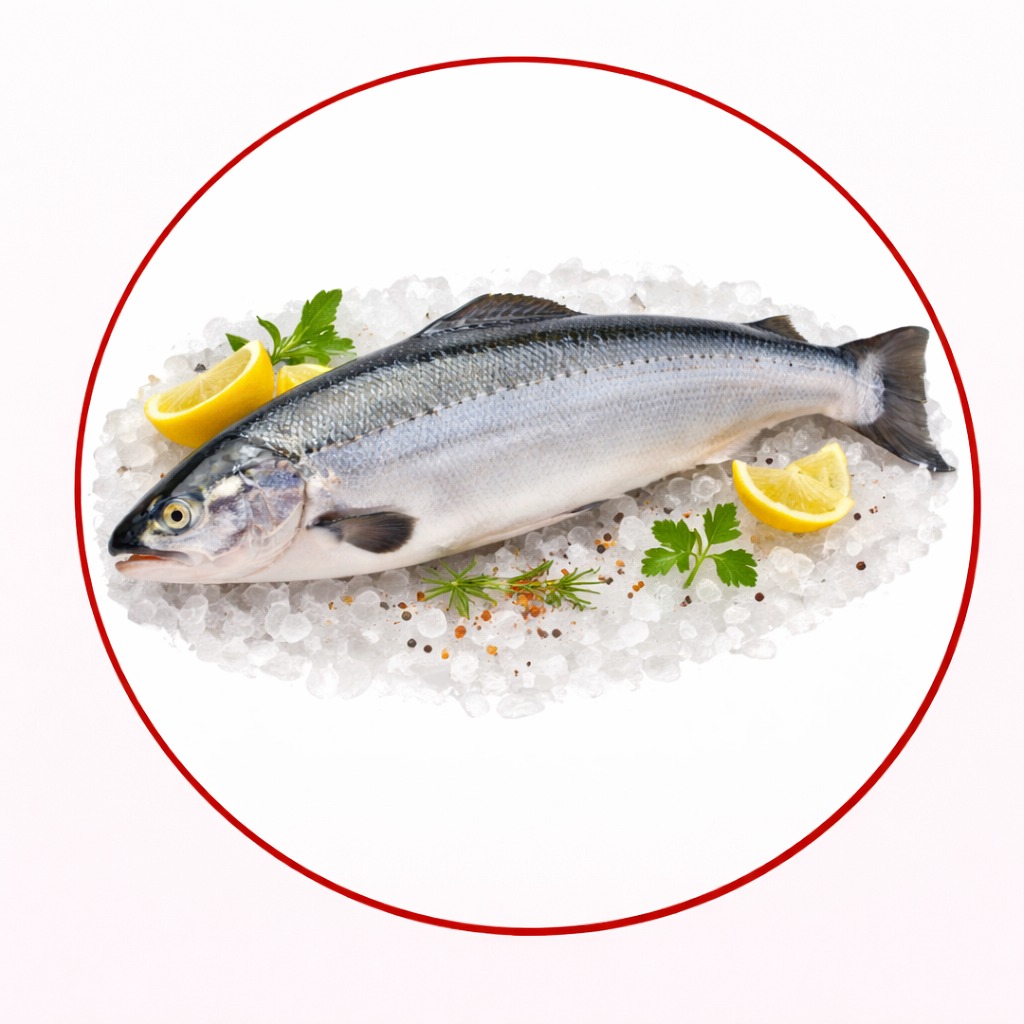 Aparas de Salmão (kg)